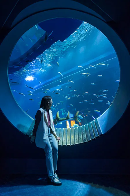 หน้าต่างชมวิวกลมขนาดใหญ่ของ DMM Kariyushi Aquarium กับตู้ปลาสีน้ำเงินขนาดใหญ่