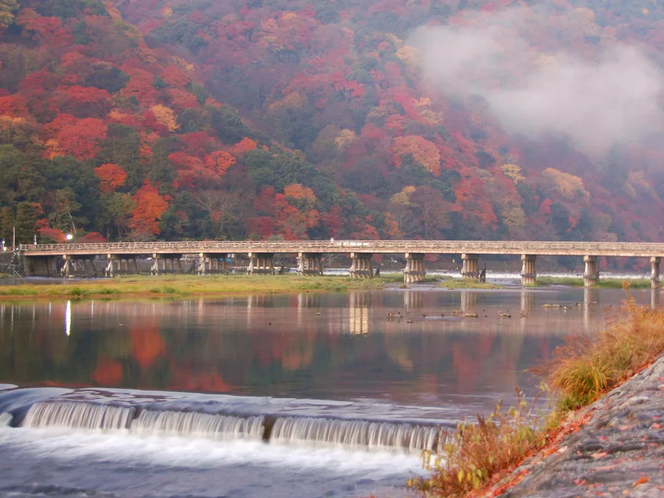 สะพาน Togetsukyo ที่อาราชิยามะ โดยสีบนภูเขาและพื้นที่ระดับต่ำอาจไม่เปลี่ยนพร้อมกัน