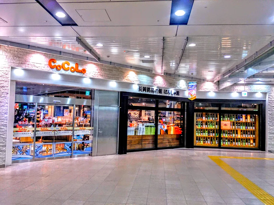 ภาพบรรยากาศเส้นทางเติมเต็มก่อนงานไฟนกฮูกที่สถานี Nagaoka และห้าง CoCoLo