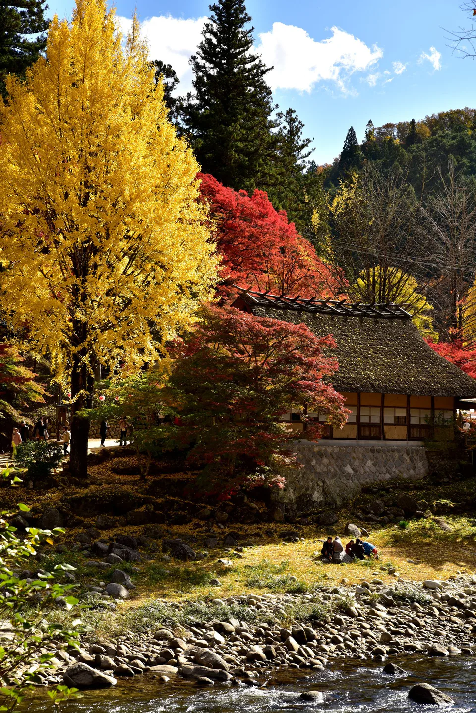 ใบไม้เปลี่ยนสีที่โครันเคในเมือง Toyota จังหวัด Aichi