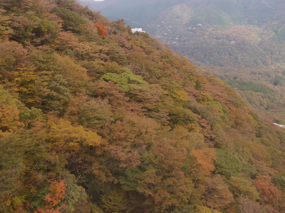 Hakone Ropeway เป็นส่วนที่มีเวลาปิดชัดใน Hakone Loop จึงไม่ควรเริ่มเที่ยวช้าเกินไป