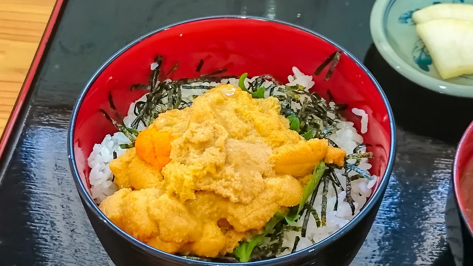ข้าวหน้าอูนิสดในฤดูร้อนของคาบสมุทรชาโกตัน ฮอกไกโด