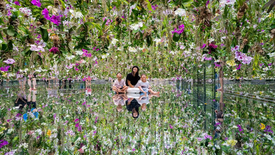 teamLab Planets Floating Flower Garden ดอกไม้กล้วยไม้จริงแขวนอยู่และเคลื่อนที่ขึ้นลงตามผู้เข้าชม