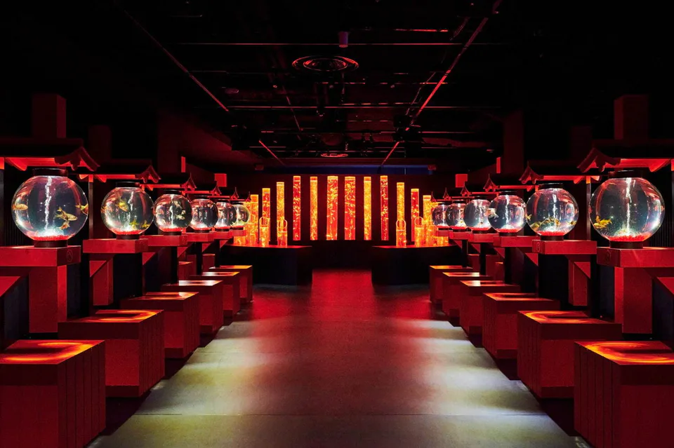 ตัวเลือกสถานที่ท่องเที่ยวในวันที่ฝนตกในโตเกียว: พิพิธภัณฑ์ Ginza Art Aquarium โชว์ศิลปะปลากระพงในย่านกินซ่า ซึ่งเหมาะสำหรับเชื่อมต่อกับโปรแกรมในร่มที่สถานีโตเกียวและกินซ่า