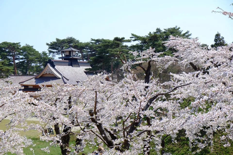 อาคารสำนักงานของ Hakodate Magistrate ที่ได้รับการบูรณะกลาง Goryokaku