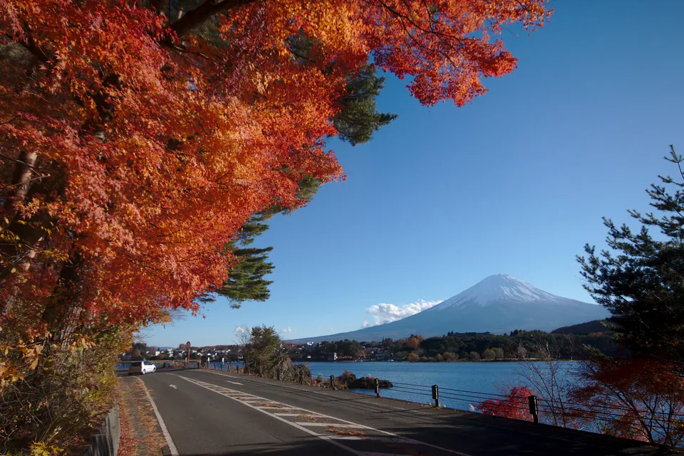 ฝั่งเหนือของ Lake Kawaguchi ในฤดูใบไม้เปลี่ยนสี ซึ่งมีทั้งข้อได้เปรียบด้านวิวและต้นทุนด้านการเดินทางช่วงค่ำ