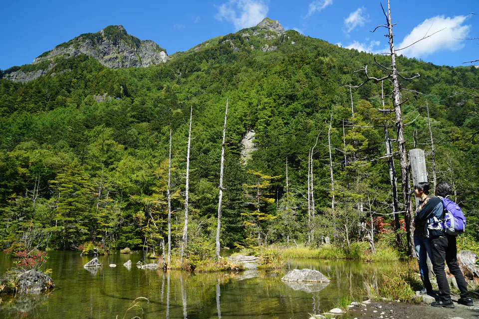 Myojin Pond และป่ารอบคามิโคจิ